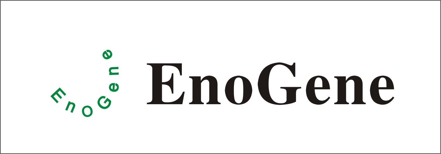 EnoGene